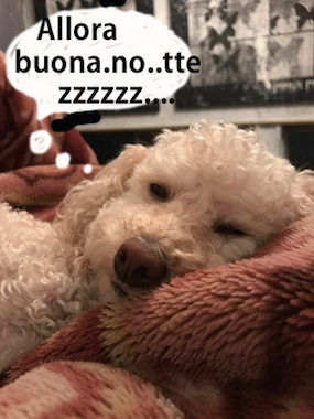 luna